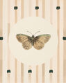 Image Not Available